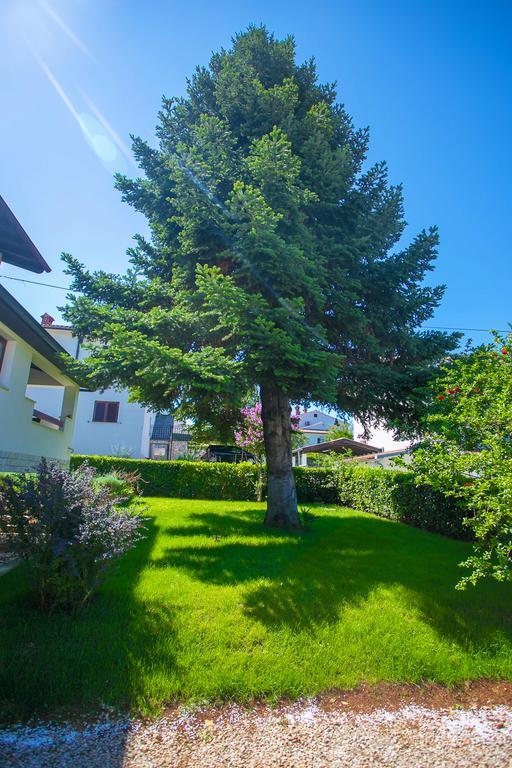 Apartment Pinia Porec Exterior photo
